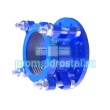    250 (272-289)  - 
